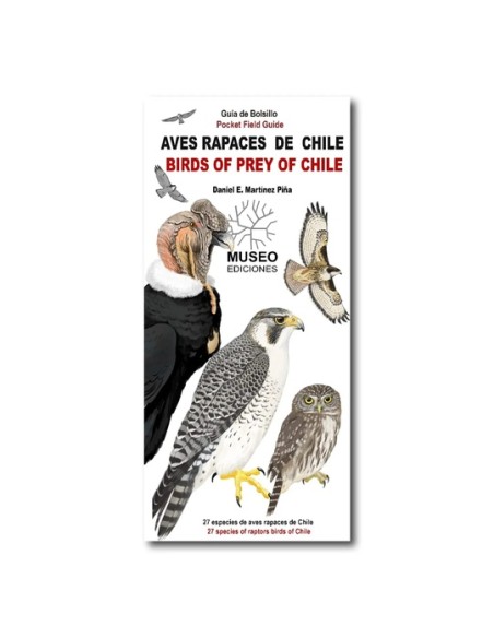 Aves rapaces de Chile (Nuevo)