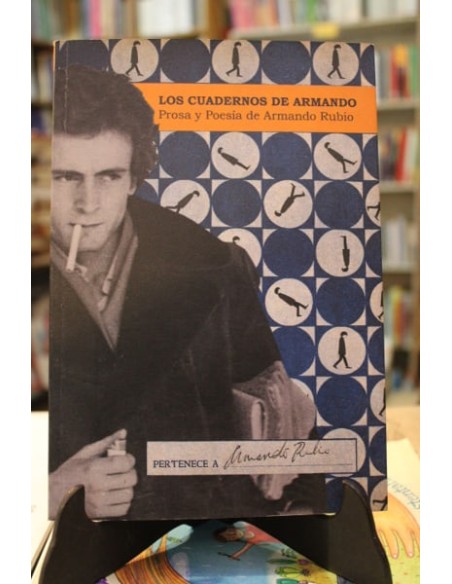 Los cuadernos de Armando (Usado)