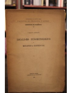 Idealismo fenomenológico y metafísica existencial (Usado)