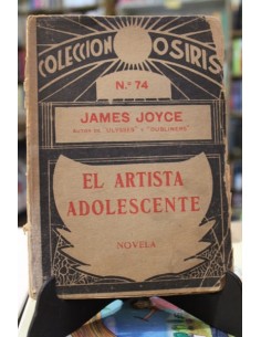 El artista adolescente (Usado)