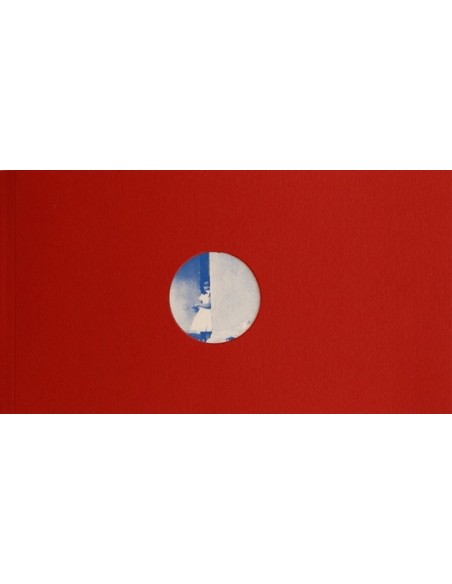 Alfonsina, el extraño caso de una confusiva (Nuevo)