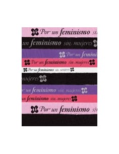 Por un feminismo sin mujeres (Usado)