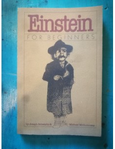 Einstein for beginners (Usado)