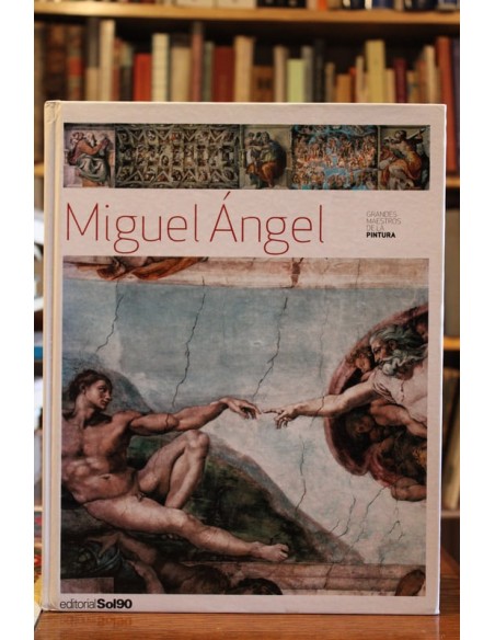 Miguel Ángel. Grandes maestros de la pintura (Usado) Miguel Ángel. Grandes maestros de la pintura (Usado)