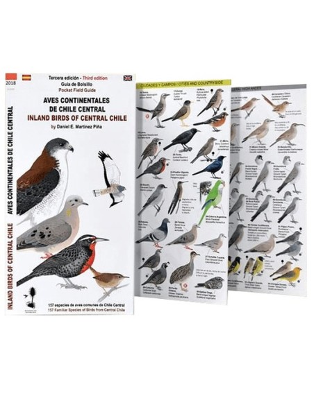Aves continentales de Chile Central. Guía de bolsillo (Nuevo)