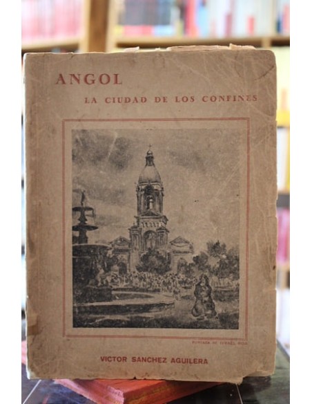 Angol. La ciudad de los confines (Usado)