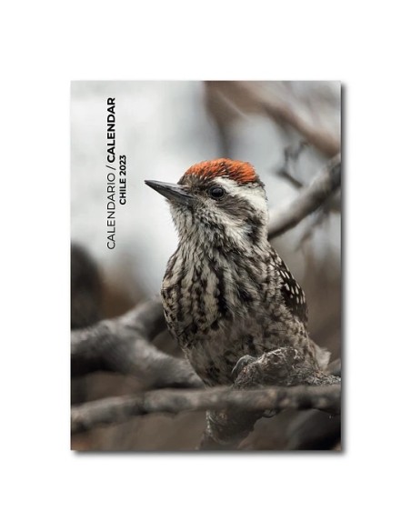 Calendario mural Aves de Chile 2023 (Nuevo) Calendario mural Aves de Chile 2023 (Nuevo)