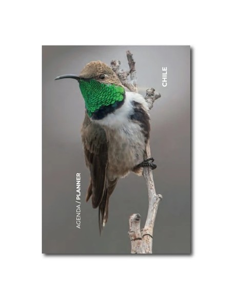 Agenda Aves de Chile 2023 (Nuevo) Agenda Aves de Chile 2023 (Nuevo)