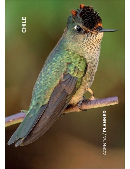 Agenda Aves de Chile 2023 (Semana) (Nuevo) Agenda Aves de Chile 2023 (Semana) (Nuevo)