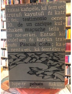 Testimonio de un cacique mapuche (bilingüe) (Usado)