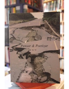 Pensar y poetizar. 8/9 (Usado)