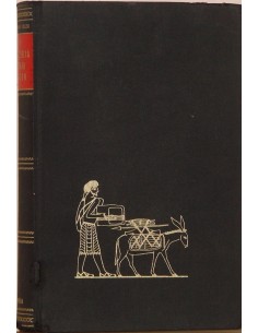 Y la Biblia tenía razón (Usado)