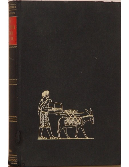 Y la Biblia tenía razón (Usado)