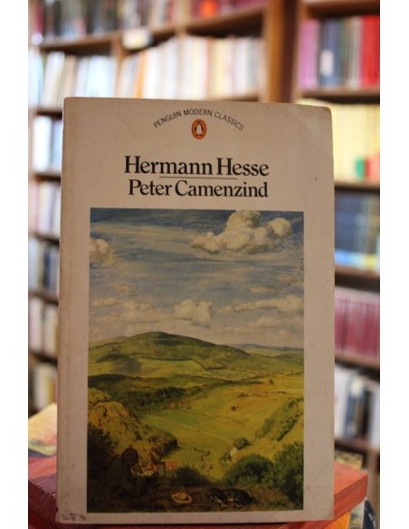 Peter Camenzind (Usado) Peter Camenzind (Usado)