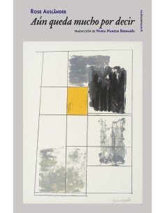 Aún queda mucho por decir (edición bilingüe alemán-español) (Usado)