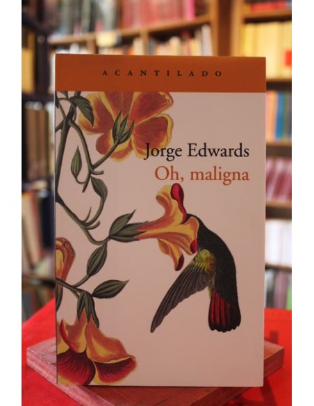 Oh, maligna (Usado)