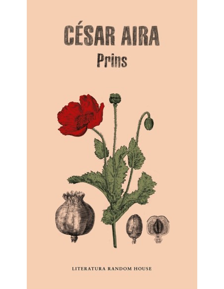 Prins (Nuevo) Prins (Nuevo)