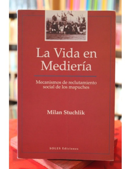 La vida en mediería. Mecanismos de reclutamiento social de los mapuches (Usado)