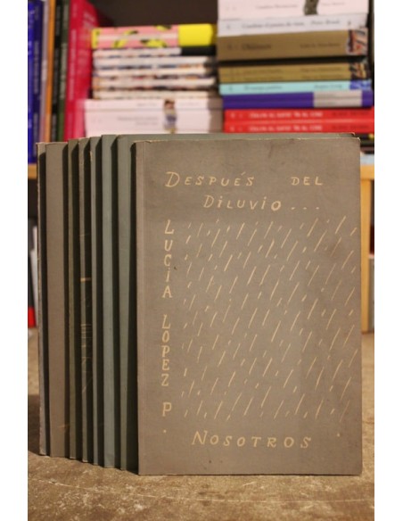 Poesía de Lucía de López (8 libros) (Usado) Poesía de Lucía de López (8 libros) (Usado)