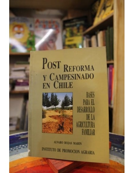 Post reforma y campesinado en Chile (Usado)