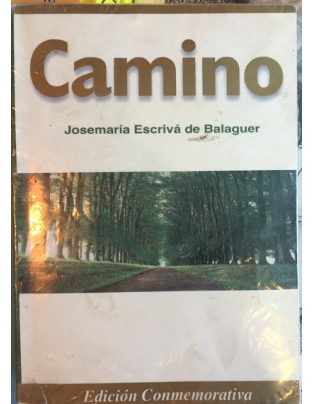 Camino (Usado) Camino (Usado)