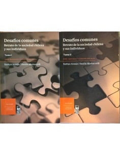 Desafíos comunes. Retrato de la sociedad chilena y sus individuos (Tomo I y II) (Usado)