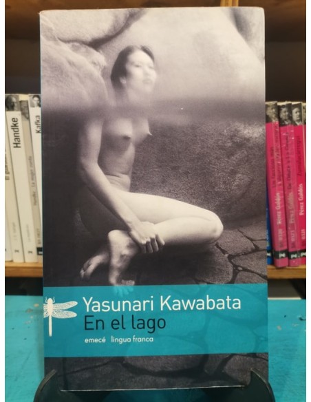 En el lago (Usado) En el lago (Usado)