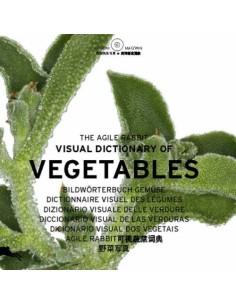 The agile rabbit visual dictionary of Vegetables (Usado)