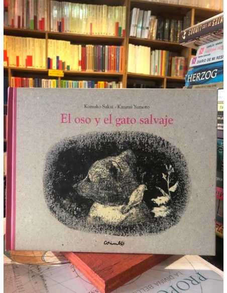 El oso y el gato salvaje (Usado) El oso y el gato salvaje (Usado)