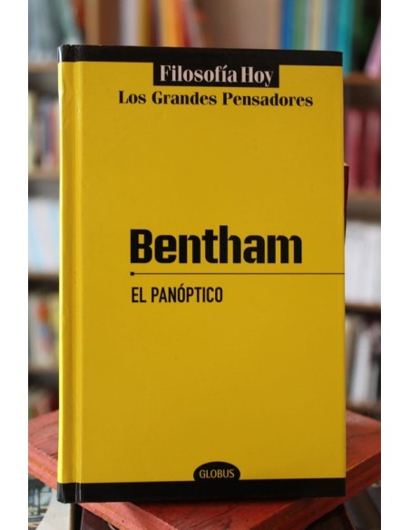 El panóptico (Usado) El panóptico (Usado)