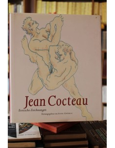 Erotische Zeichnungen (Usado)