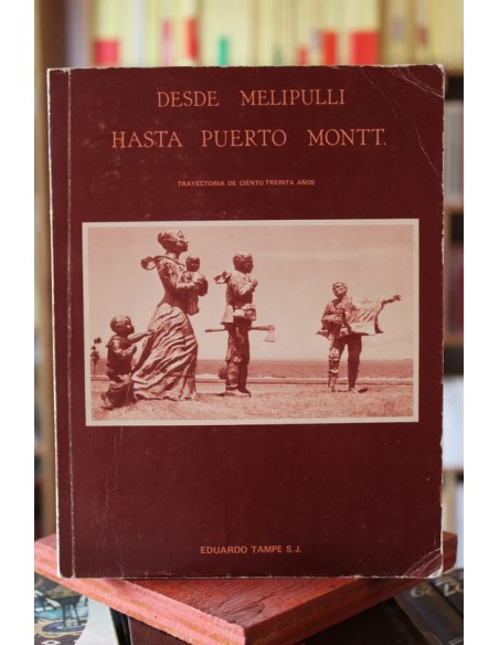 Desde Melipulli hasta Puerto Montt (Usado) Desde Melipulli hasta Puerto Montt (Usado)