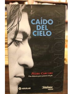 Caído del cielo (Usado)
