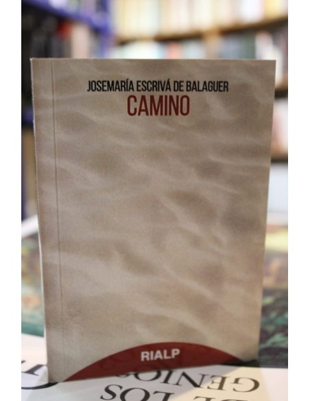 Camino (Usado)