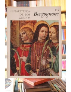 Bergognone (Usado)