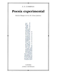 Poesía experimental (Nuevo)