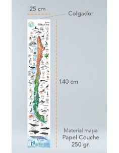 Mapa Aves de Chile (Nuevo)