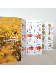 Flores silvestres de Chile Central. Guía de bolsillo (Nuevo)