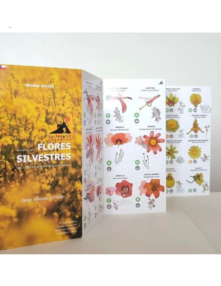 Flores silvestres de Chile Central. Guía de bolsillo (Nuevo)
