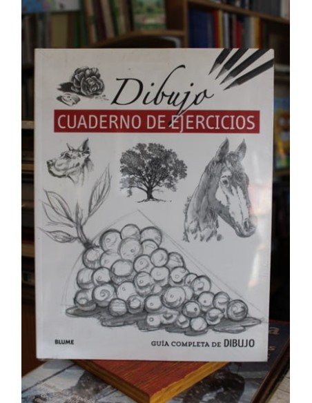 Guía completa de dibujo. Dibujo (Nuevo)