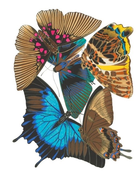 Mariposas Azul y Magenta (E. A. Séguy) (Nuevo) Mariposas Azul y Magenta (E. A. Séguy) (Nuevo)