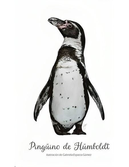 Cuadernos de Viaje (Pingüino de Humboldt) (Nuevo)