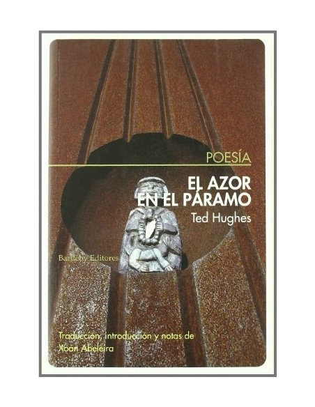 El azor en el paramo (Nuevo) El azor en el paramo (Nuevo)