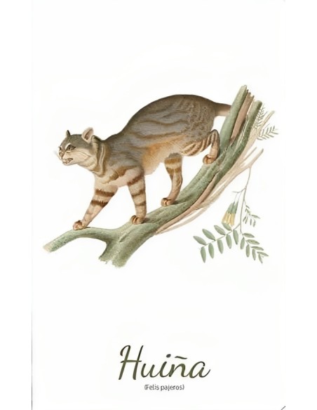 Cuadernos de Viaje (Huiña) (Nuevo)