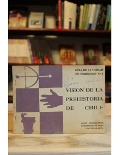 Visión de la prehistoria de Chile (Usado)