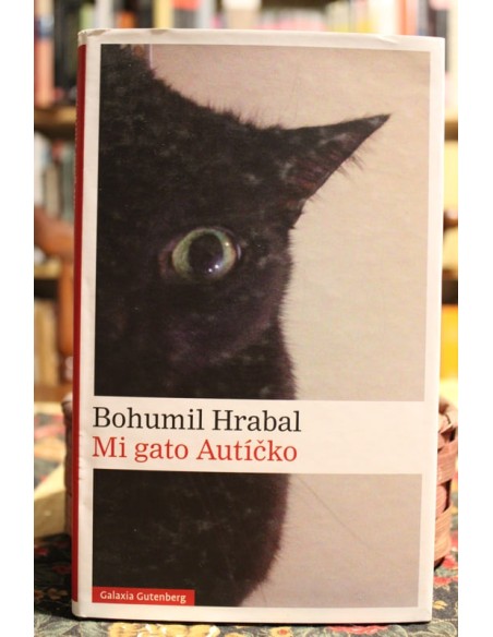 Mi gato Autícko (Usado) Mi gato Autícko (Usado)