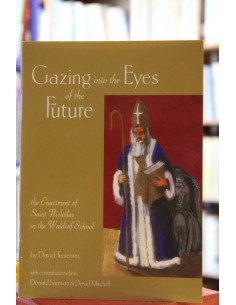 Gazing into the Eyes of the Future (Usado)