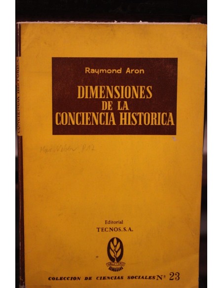 Dimensiones de la conciencia histórica (Usado) Dimensiones de la conciencia histórica (Usado)