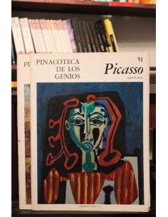 Picasso (primera y segunda parte) (Usado)