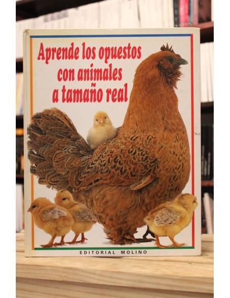 Aprende los opuestos con animales a tamaño real (Usado)